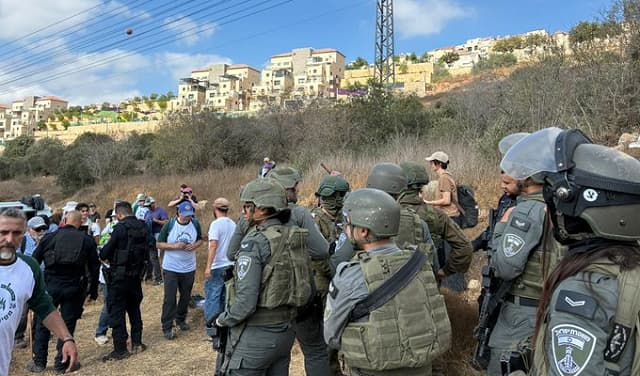 Occupation detains activists and candidate during olive harvest