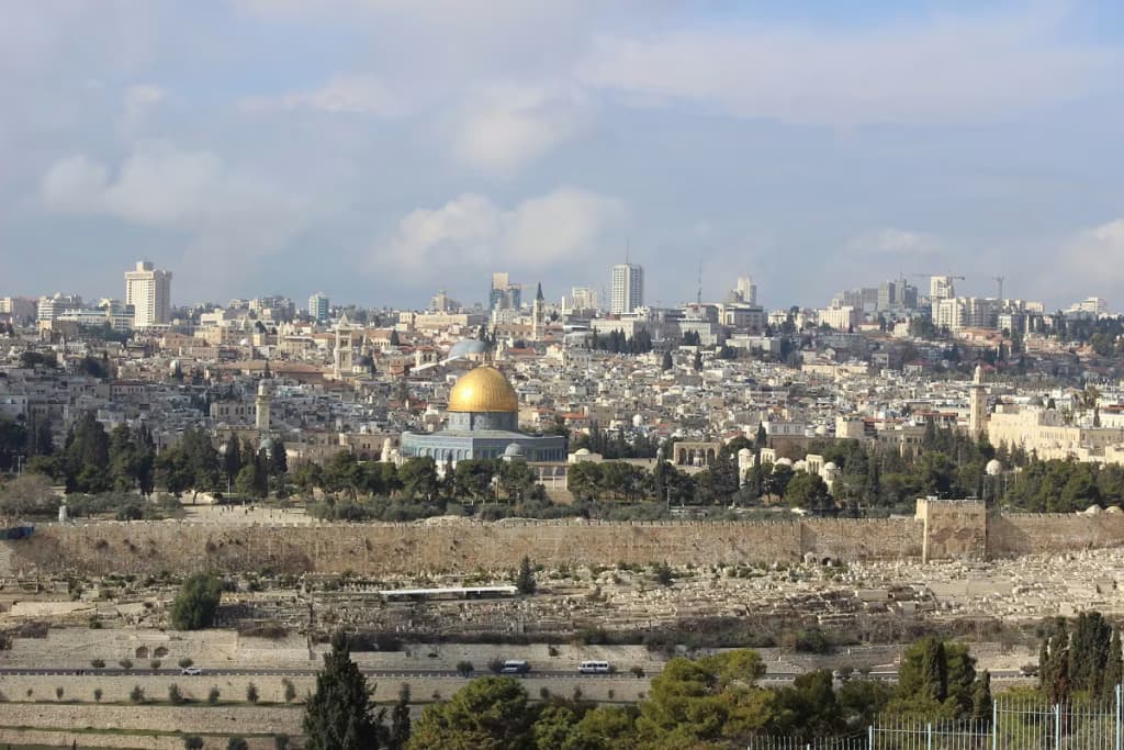 زيتون الأقصى يعبر عن الصمود ودعم الفقراء