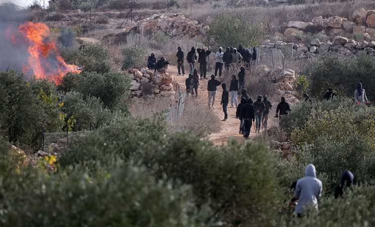 West Bank Olive Farmers Face 409 Attacks