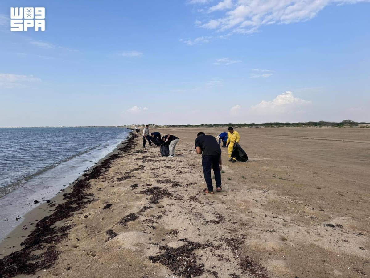 Marine Activities in Jeddah Promote Coastal Environment Preservation
