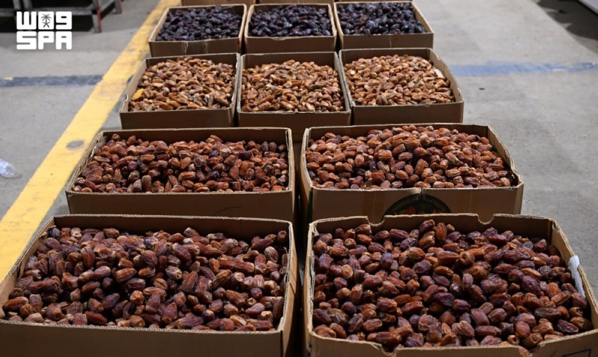 بدء موسم تمور المدينة لتعزيز التراث
