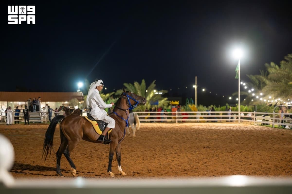 إسطبلات الجوف تعكس تراث الفروسية