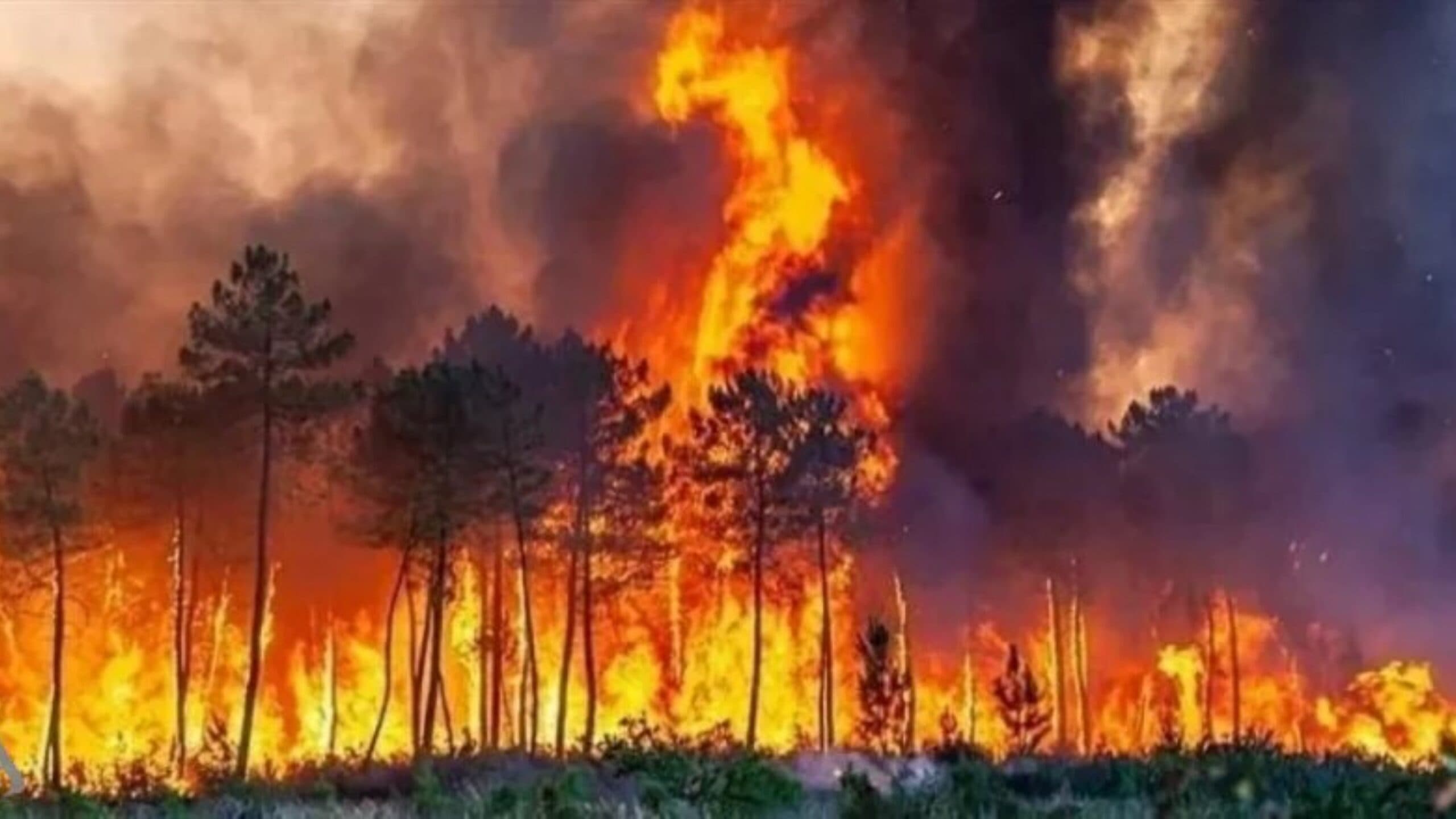 ألمانيا تعلن السيطرة على حرائق الجنوب