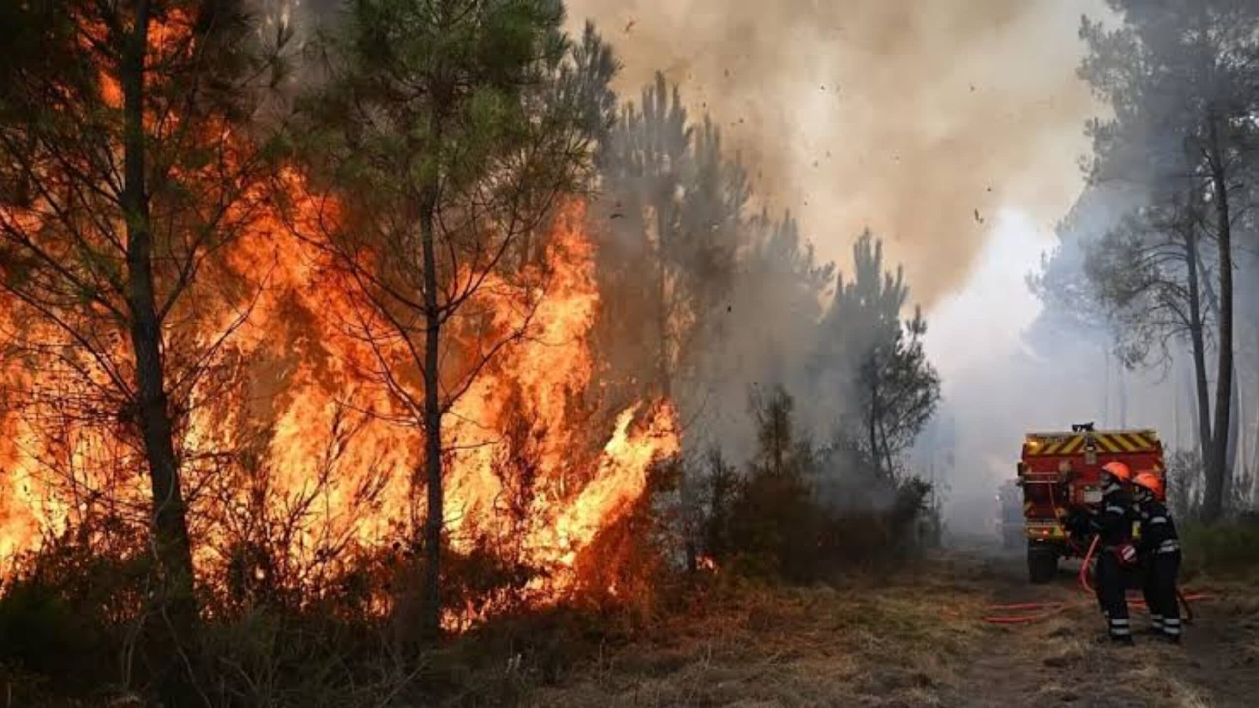 Western Canada residents evacuated amid wildfires