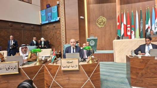 Al-Safadi urges Arab unity to counter Israeli actions