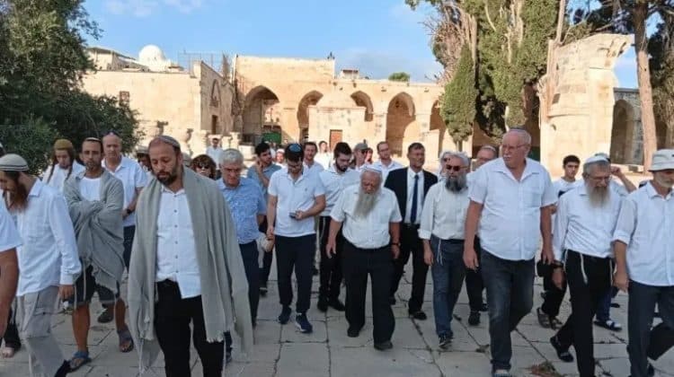 القدس: اقتحام 11409 مستوطنين للأقصى خلال الأعياد