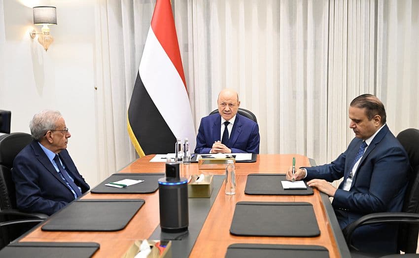 Leadership Council Chair Highlights Importance of International Support