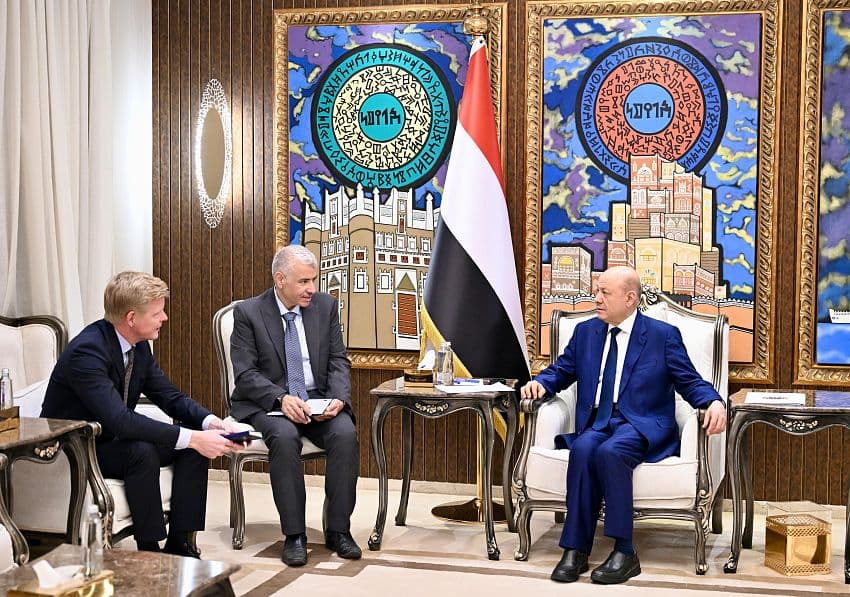 Al-Ali Warns Against Armed Groups