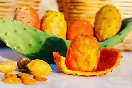 Daily prickly pear intake effects