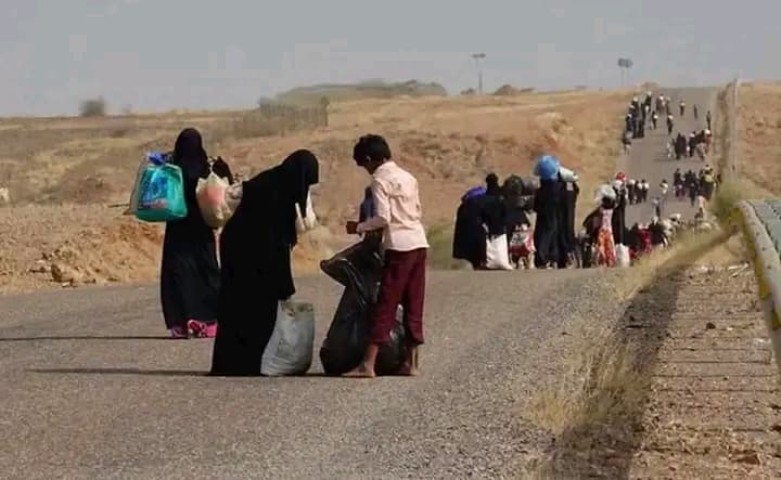 76 ألف يمني يفرون من النزاع