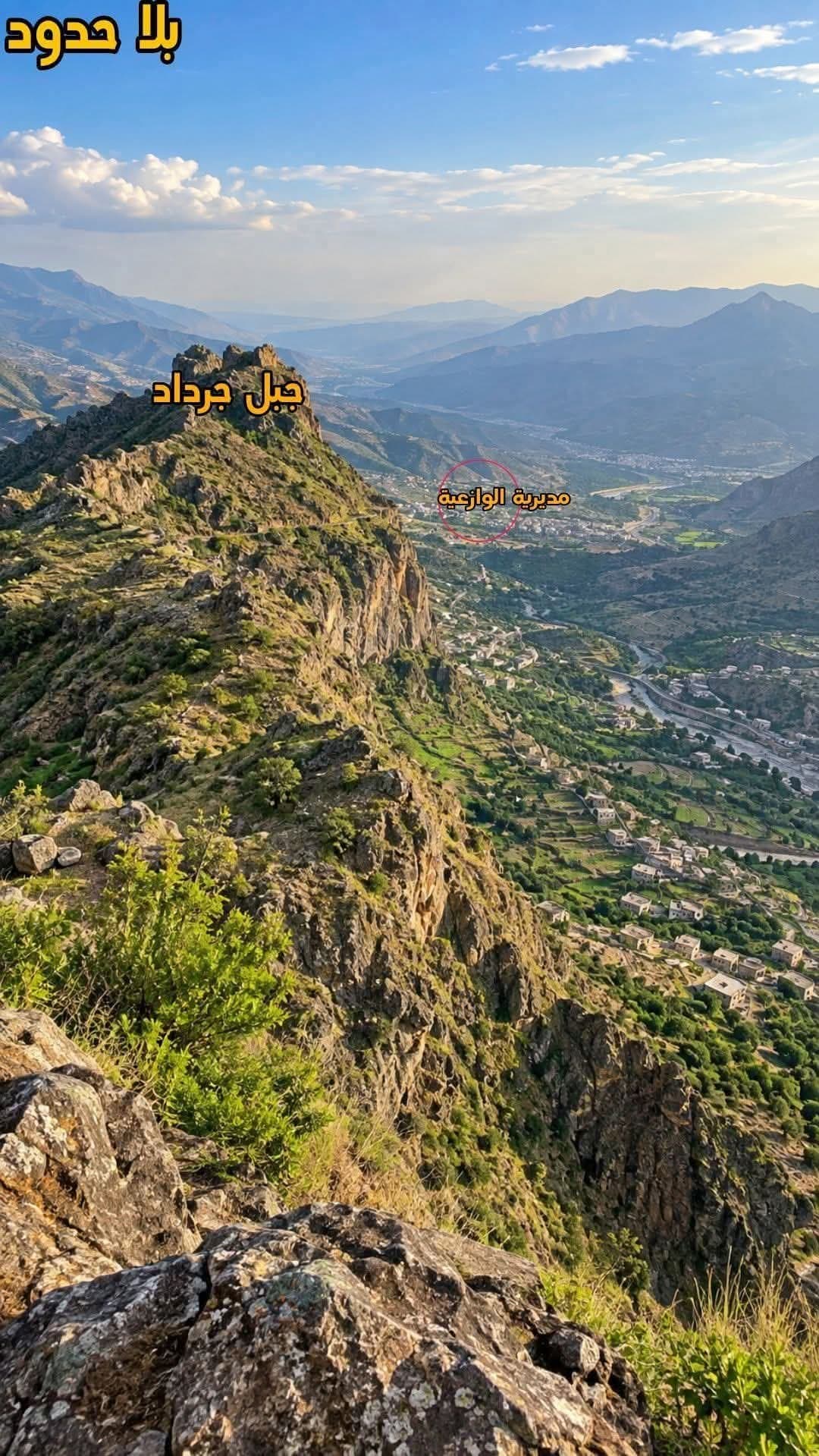 Taiz suspends classes and grants leave