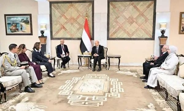 العليمي يدعو لموقف دولي ضد الحوثيين