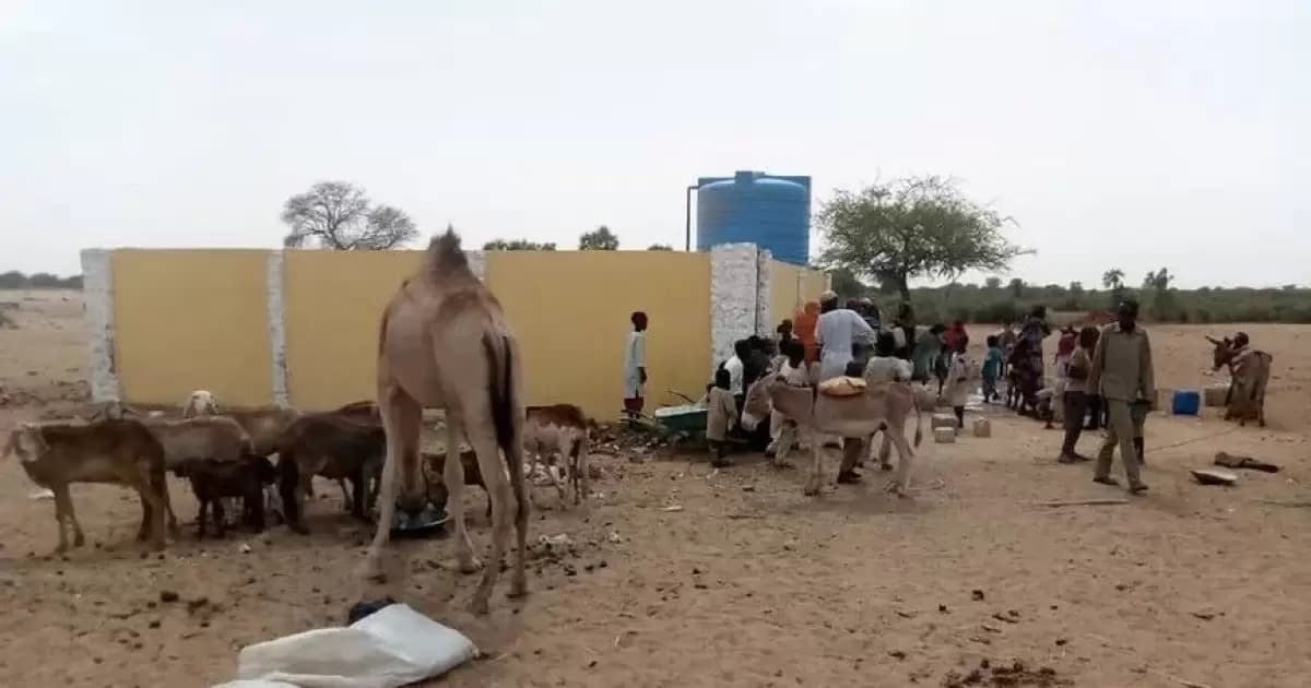 السودان يكتشف حالات اشتباه بالكوليرا في أربع ولايات