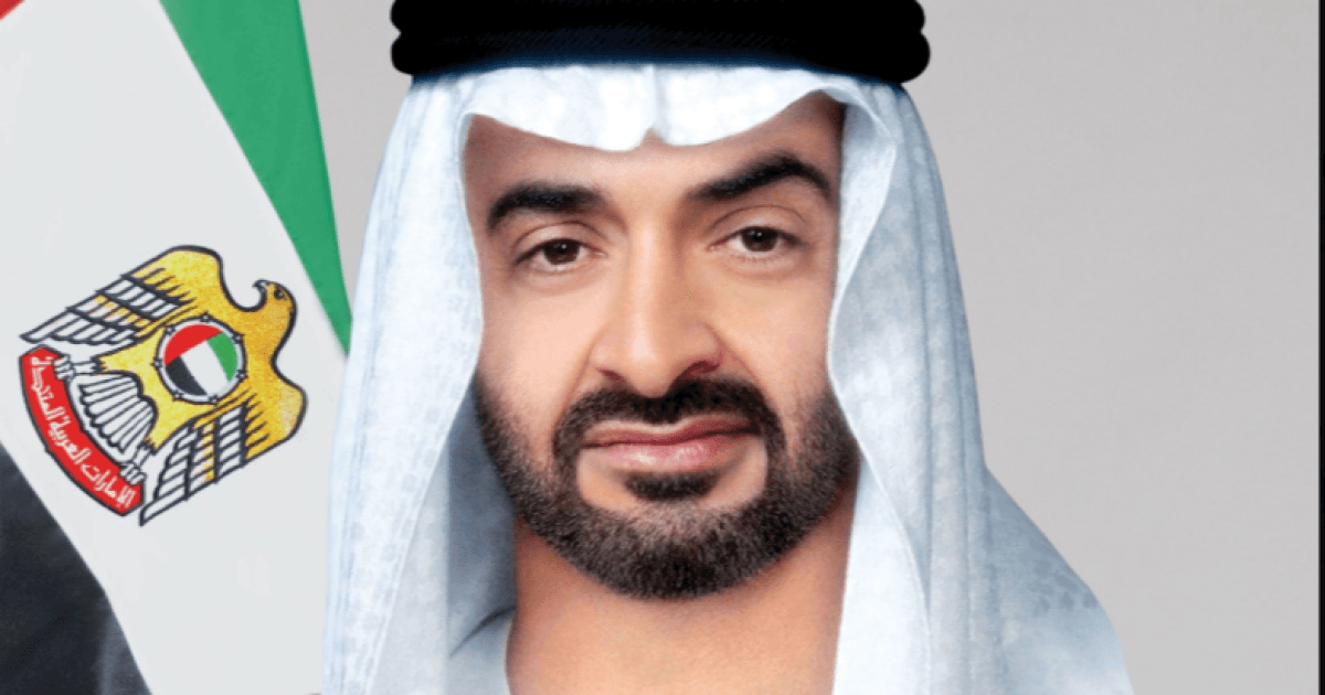 Emirati President talks regional issues with US leader