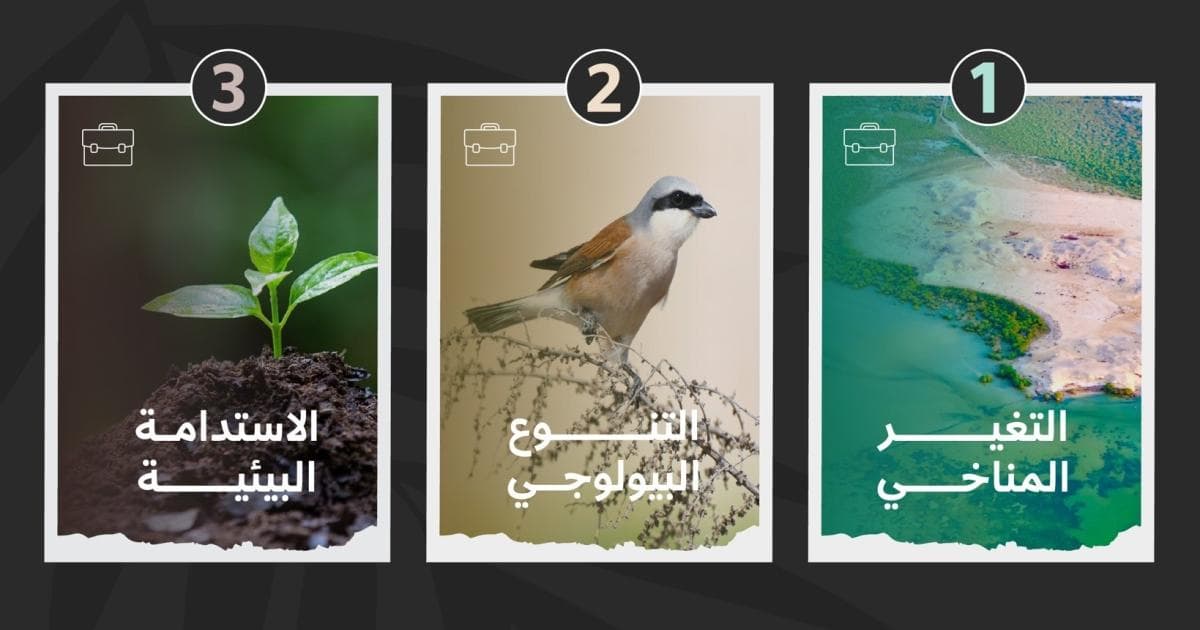 البيئة تطلق ثلاث حقائب تعليمية الكترونية