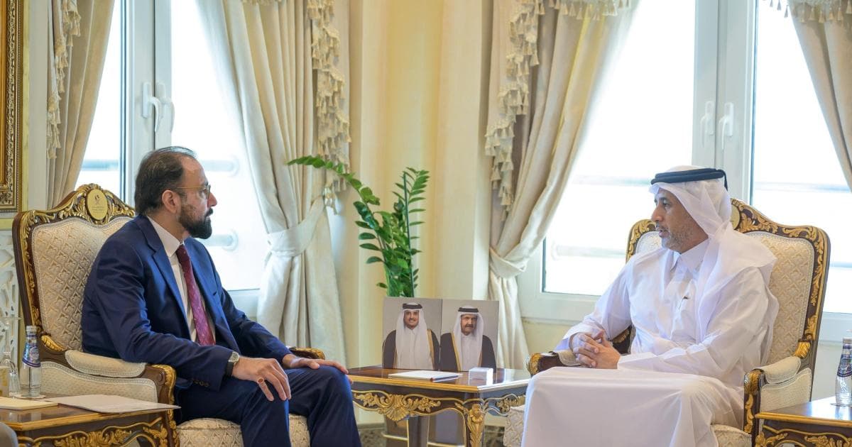 Internal Affairs Minister Meets with Overseas Pakistanis Minister