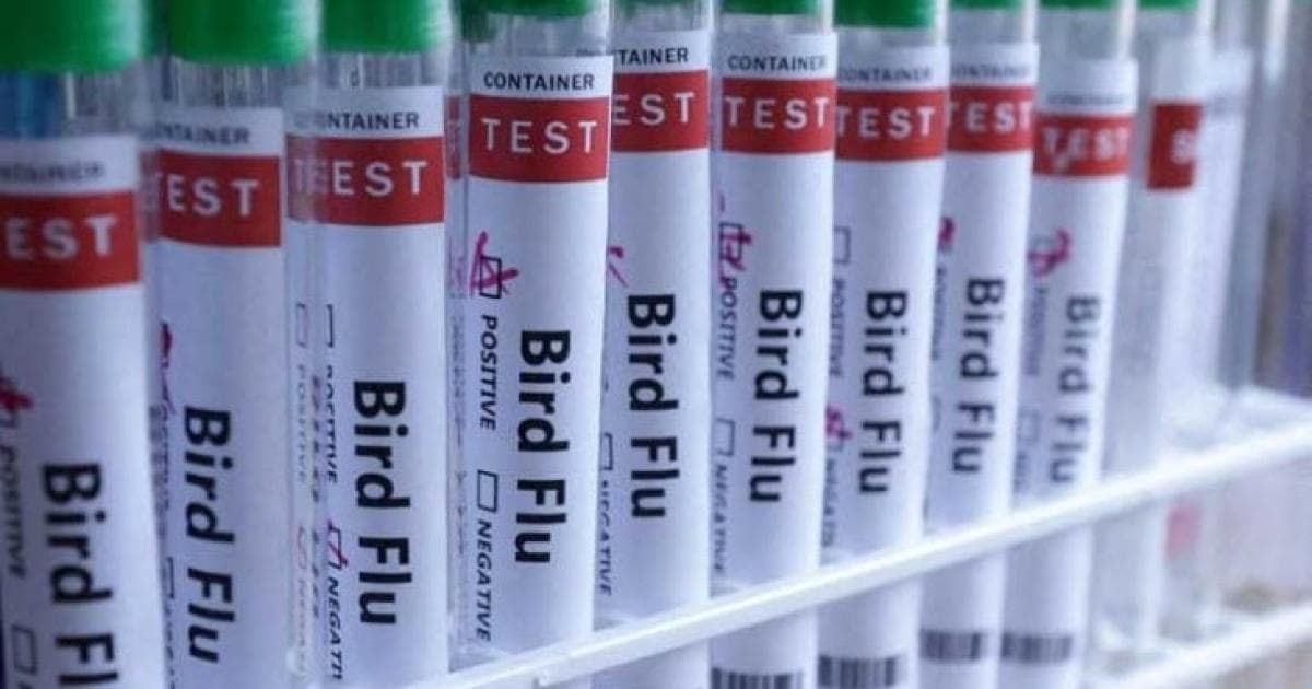 أوروغواي تعلن الطوارئ بسبب إنفلونزا الطيور