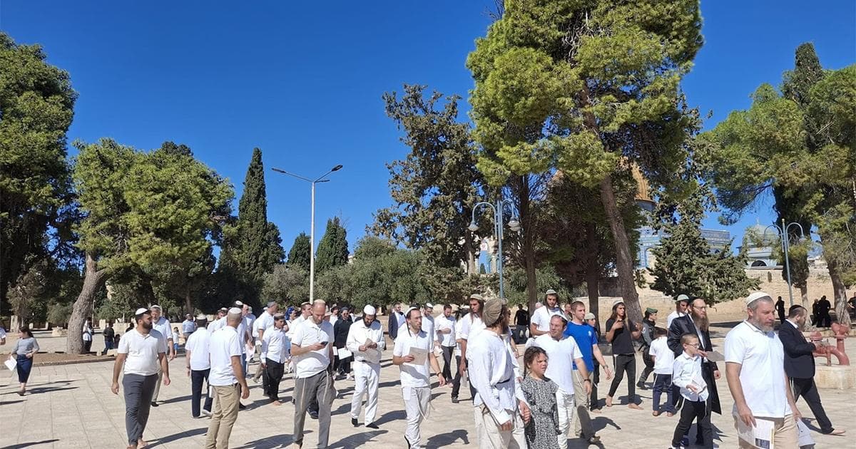 مستوطنون يقتحمون الأقصى برفقة الاحتلال