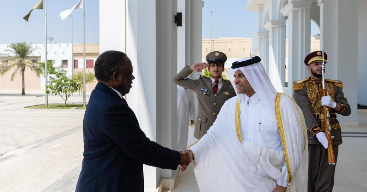 وزير الدفاع يلتقي نظيره الناميبي