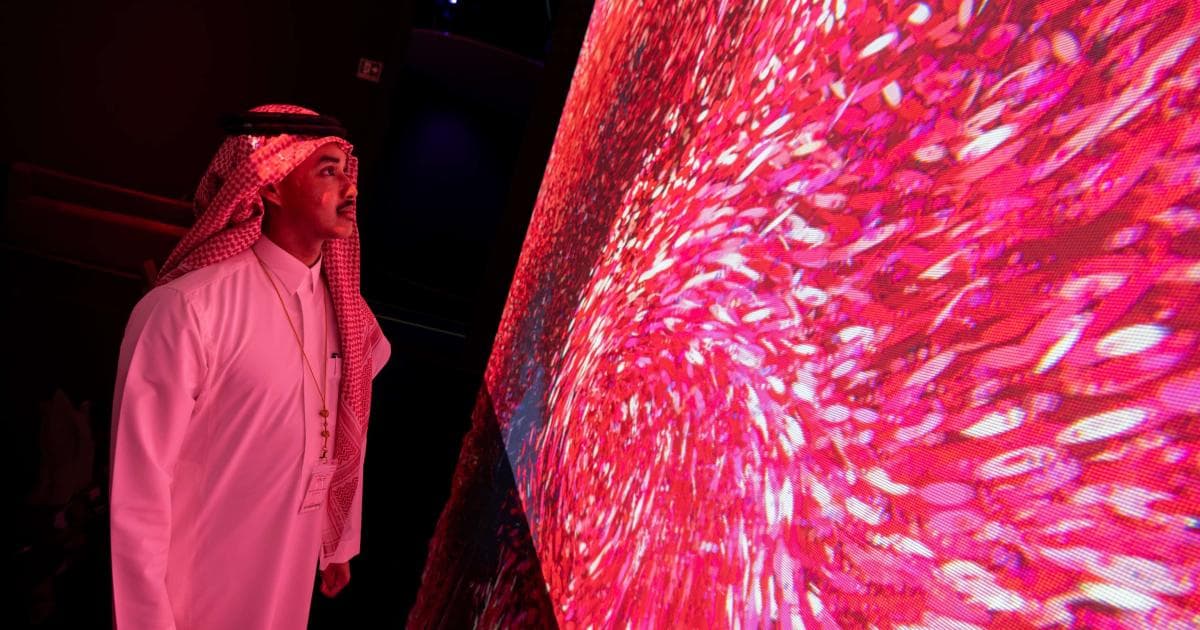 Marshmello Laser Fest Opens at Northwestern Qatar