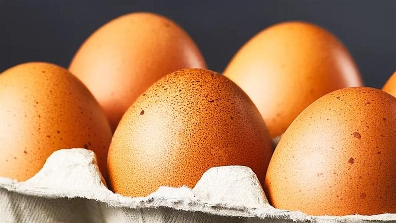 سعر كرتونة البيض اليوم في السوق