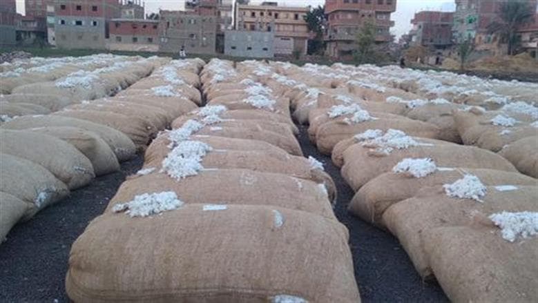Nile Delta cotton auction date with 9 governorates