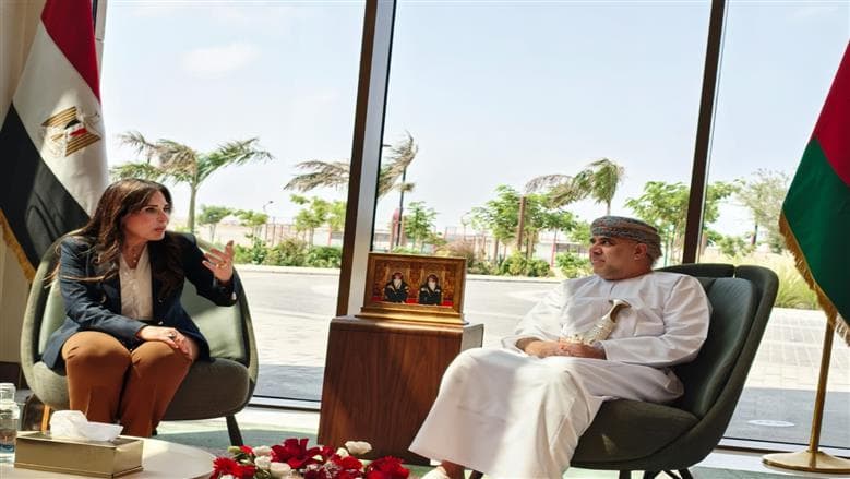 Egypt constructs 39 new cities in recent years