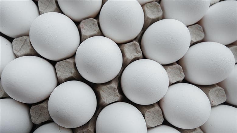 Egg carton prices today Tuesday