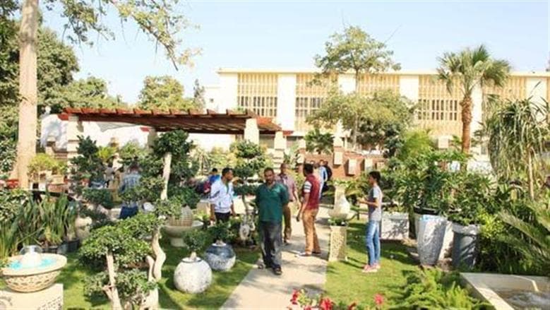 Agricultural Museum and Egypt Flowers open for October celebrations