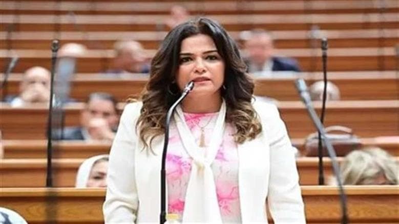 رئيس سياحة النواب: لقاء السيسي بتنزانيا يعزز التعاون