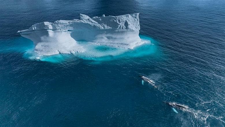 Climate Shift: Pacific Ice Melting Threatens Currents