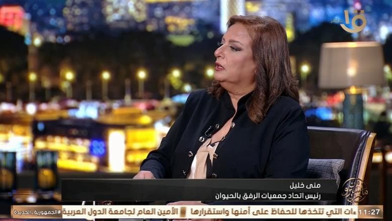 نجاح خطة حيوانات الشوارع يتطلب مراكز بيطرية