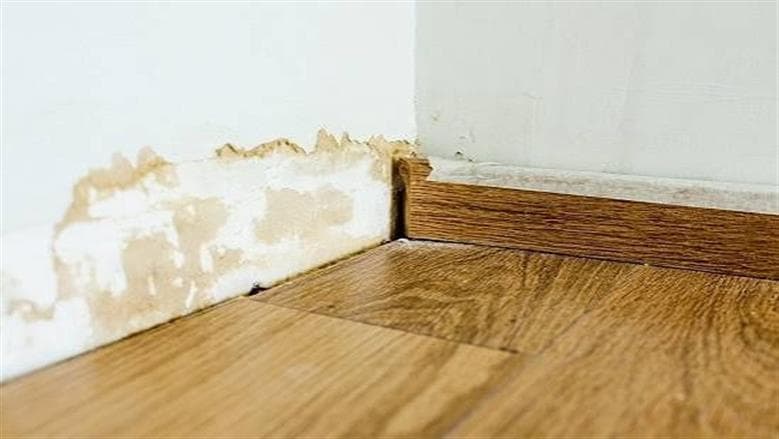 Tips to Eliminate Wall Dampness