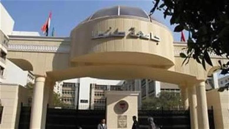 Tanta University Scholarships 2027