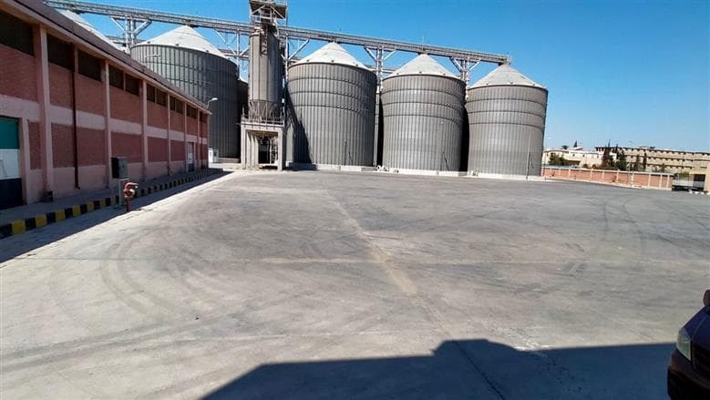 Local wheat shipment to Alexandria silos