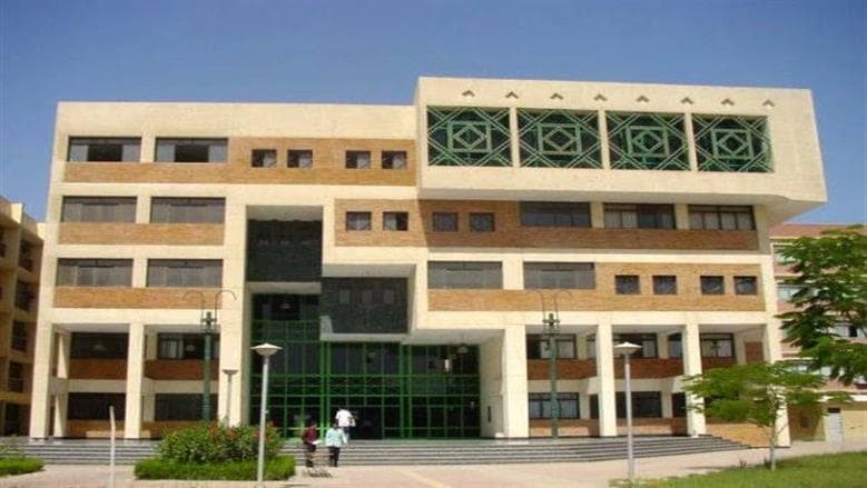تنسيق هندسة المنيا 2026 علمي رياضة