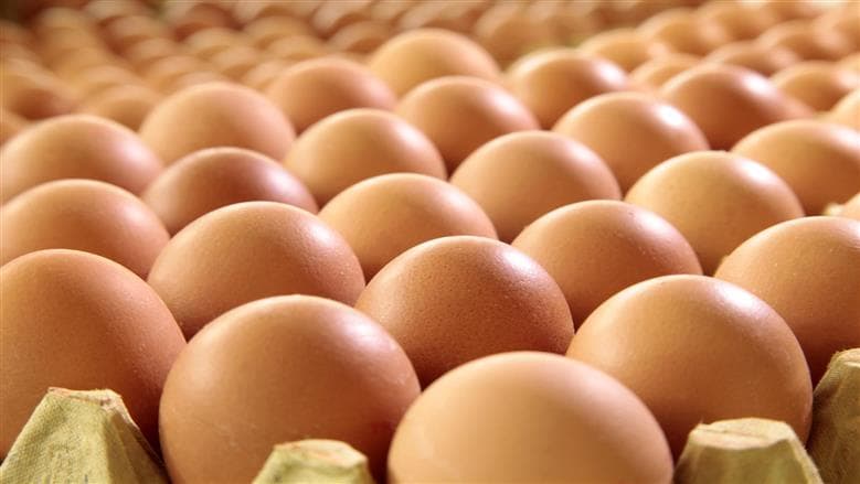 Egg prices at markets on 11-8-2026