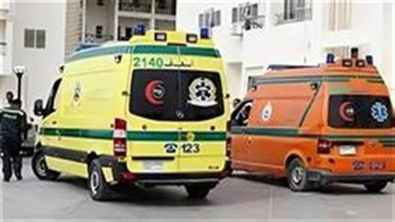 Authorities probe Sohag fight deaths