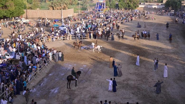 Knights of Upper Egypt compete at historic Luxor camp