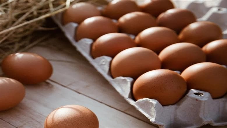 Proper egg storage reduces Salmonella risk