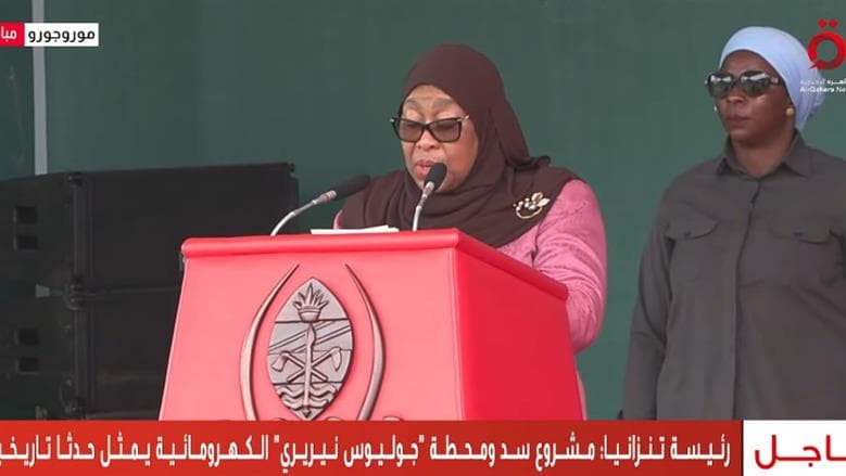 Tanzania's President on Nyerere Project and Egypt Support