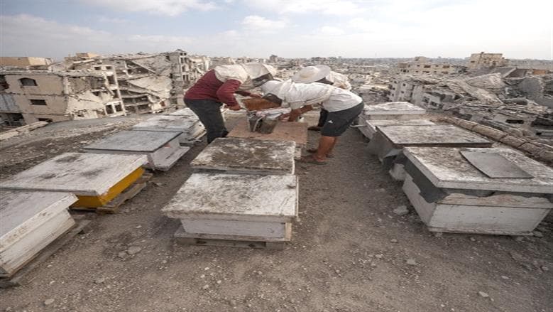 Israel's Gaza Campaign Causes 40M Losses