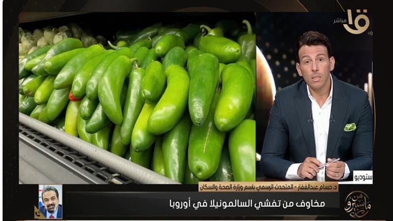 Egypt free from Salmonella outbreaks