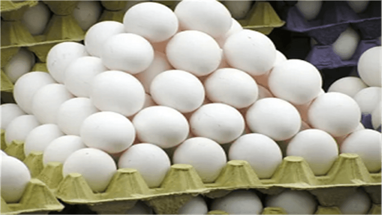 Egg carton prices on August 27, 2026