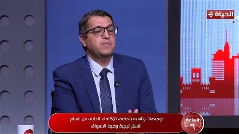 Al-Akhbar Editor: Egypt avoided crisis impacts
