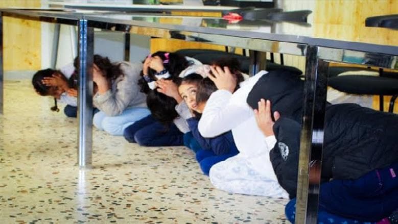 Egypt earthquake caused by local fault