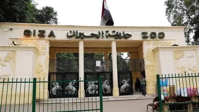 Giza Zoo Set to Open in 2026