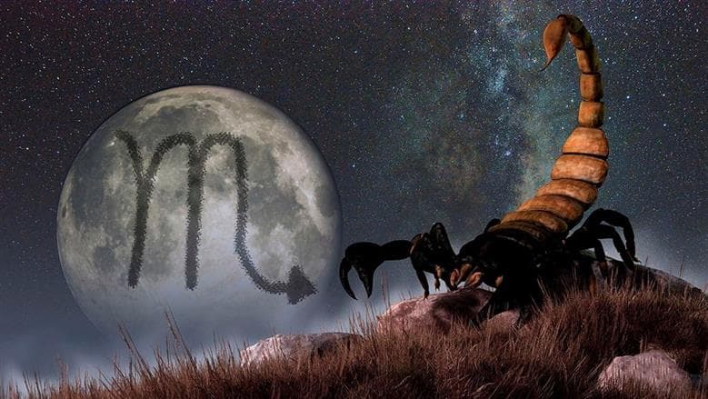 Will Scorpio wishes come true
