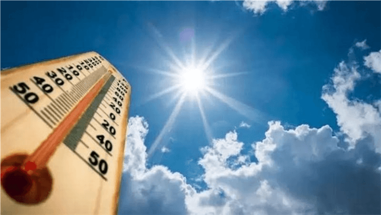 Today's weather: windy and humid with highs of 42°C