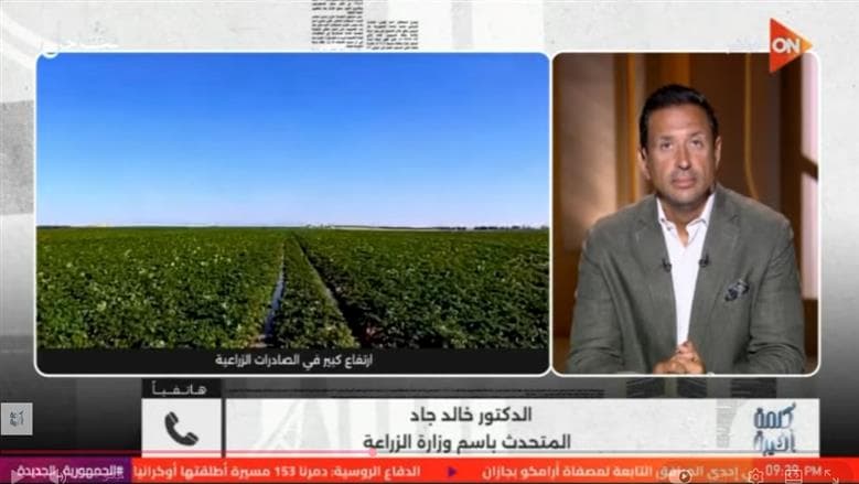Egyptian agricultural exports surpass 6.2 million tons